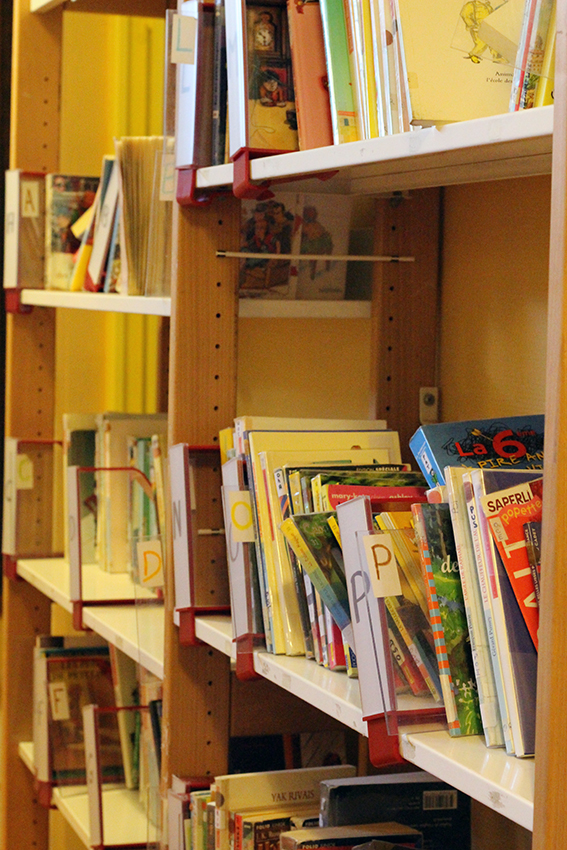 Our library and the program within the international school includes English language literature